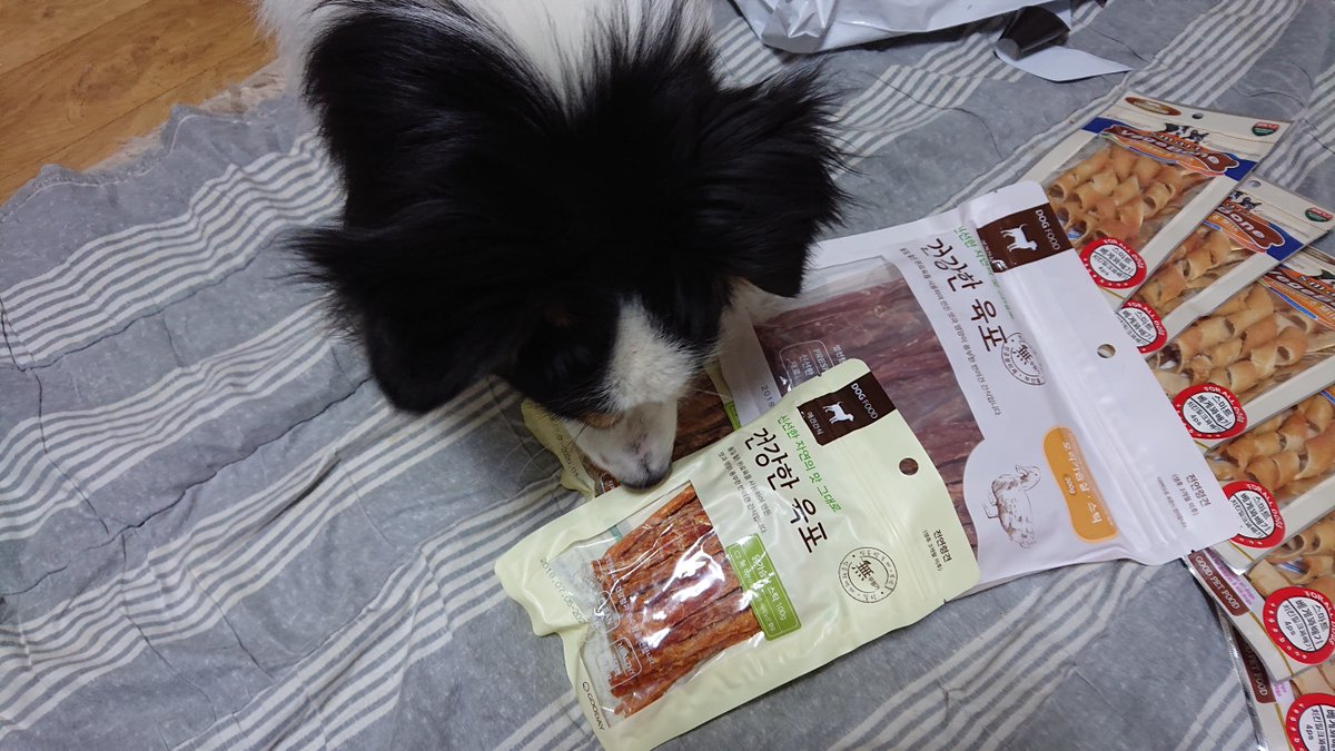 울 탄탄이가 어릴때부터 꾸준하게 급여하고 있는 굿데이 건강한 육포 닭가슴살 스틱 강아지 간식이예요^^

link.coupang.com/a/lI02e

"직접 구매후 추천드리며 쿠팡 파트너스 활동의 일환으로, 이에 따른 일정액의 수수료를 제공받습니다."