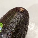 これは覚えておきたい!アボカドを買うときは、あれが付いているものを選ぶのが良い？!