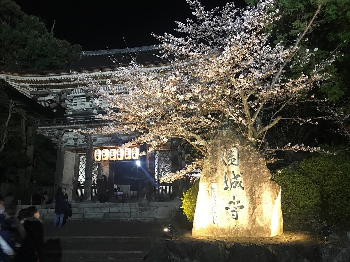 三井寺の桜🌸がきれいでした☺️

#三井寺