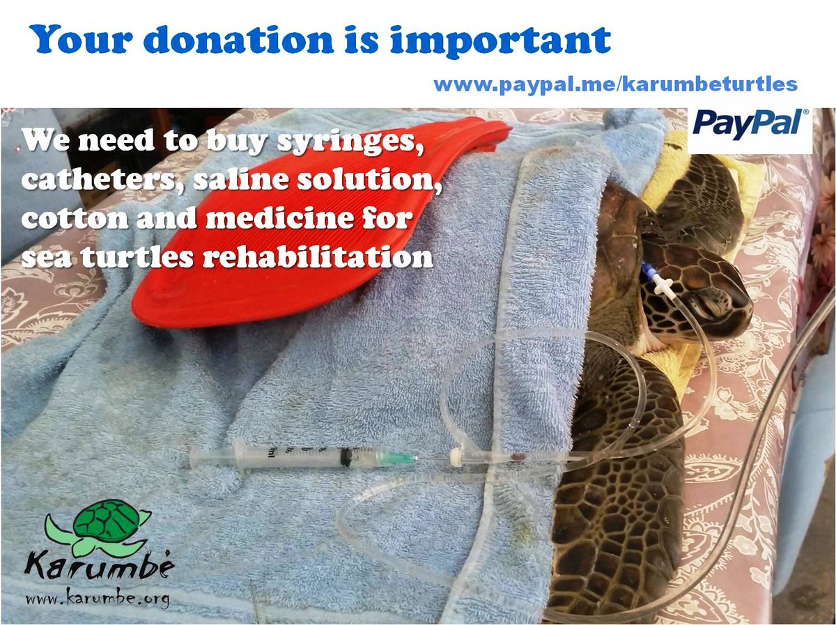 karumbeuy's tweet photo. Your donation is important.
https://t.co/MEKpx2Smfj
Thanks.
Karumbé https://t.co/lzB86ZRFQL