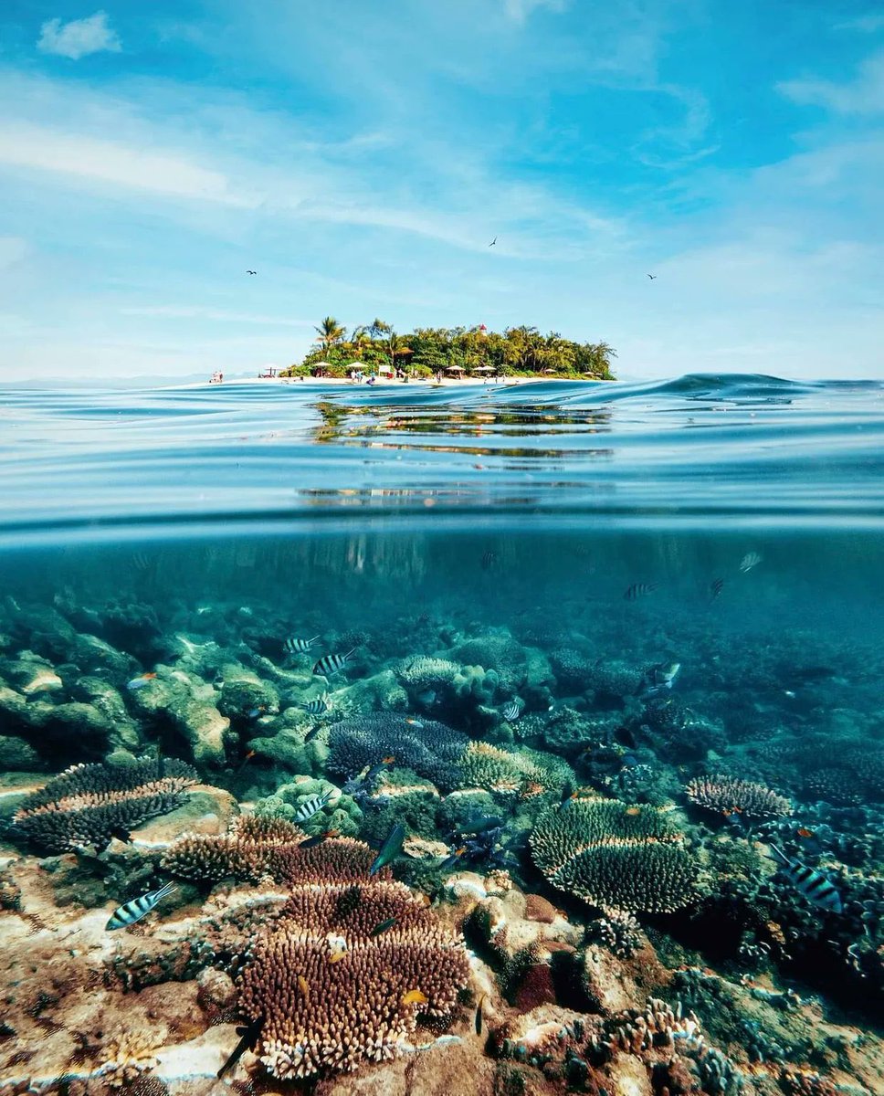 Great Barrier Reef, Australia 🇦🇺
📸: demasrusli 
#NaturePhotography #nature
#travelphotography #travel