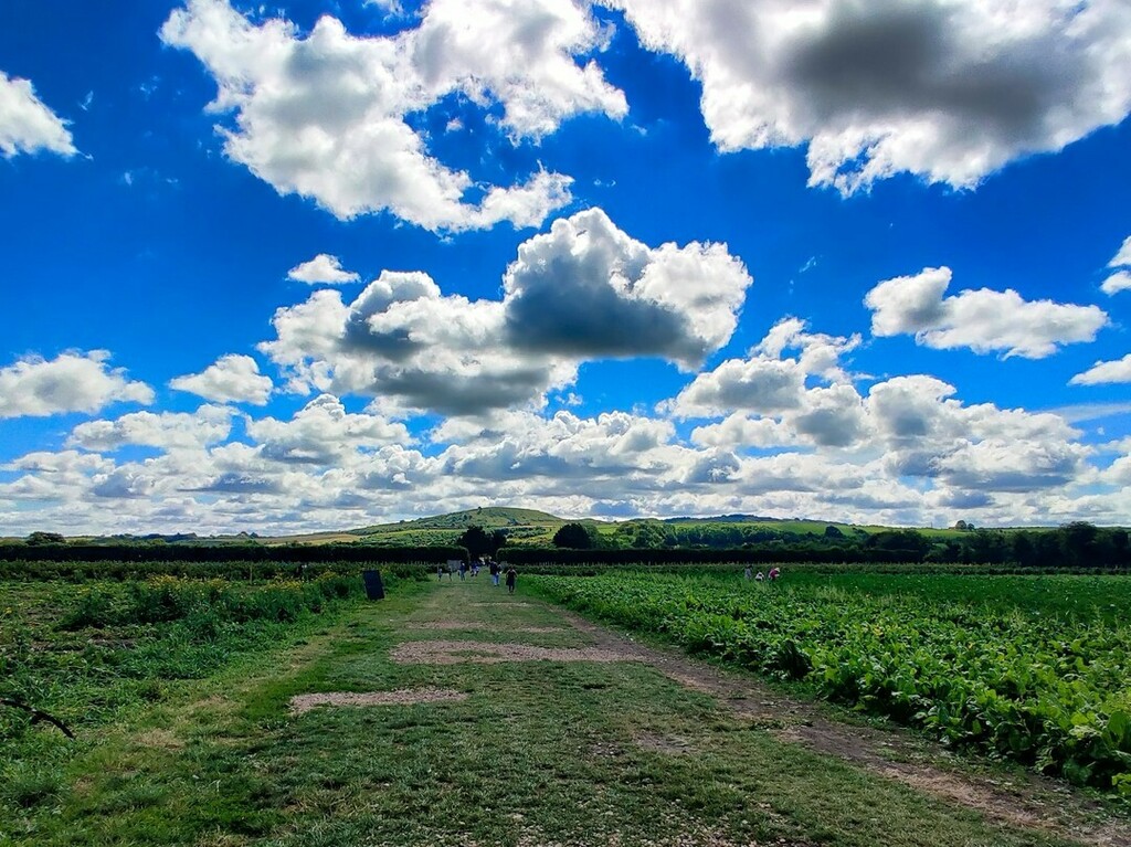 sujithselvanpy's tweet photo. Hill way..

#skyscape #cloudphotography #skyphotography #skyline #cloudscape #cloud #clouds #sky #naturelovers #nature #naturelover #natureshots #naturegeography #naturephotography #landscapelovers #landscapephoto #landscapephotography #landscapes #landscape #travelgram #tra… https://t.co/Y8EHAjG8lu