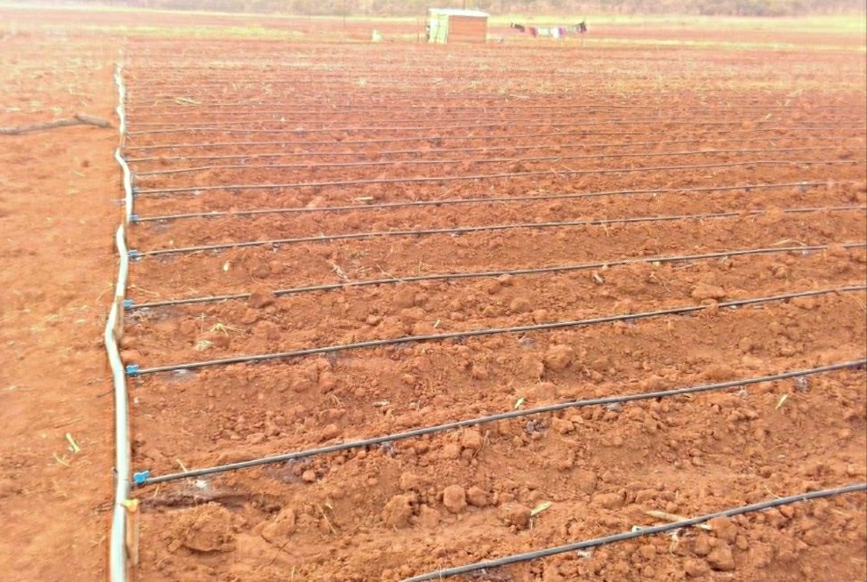 Our solar irrigation solutions enable you to optimise your agricultural procesess using low cost solar technology. Our systems are designed to suit your needs which includes Borehole pumps, booster pumps etc. Get in touch today on 0719225698 <a href="/redmarketsunday/">Red Market Sunday</a>