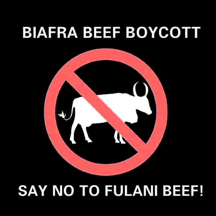 BeautyGina4's tweet photo. Without shooting any bullet very soon the Biafran cows will take over Fulani infiltrated cow! Therefore, support your brothers to promot Biafran cows  say NO to Fulani infested Beef ! https://t.co/6vsy1Pm07w