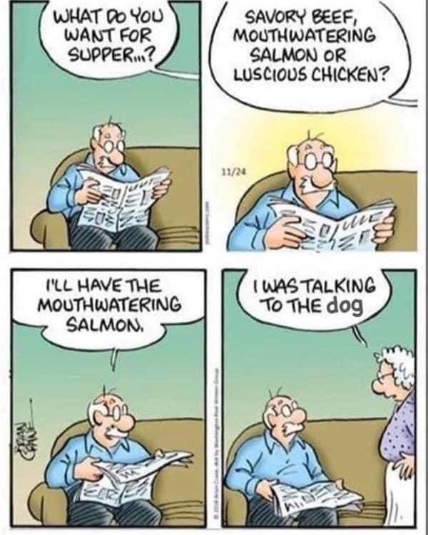 Julesk23's tweet photo. #Dogs #DogsofTwittter #DogsAreFamily #dogsarelove #dogdinner https://t.co/GP9CWLZN9B