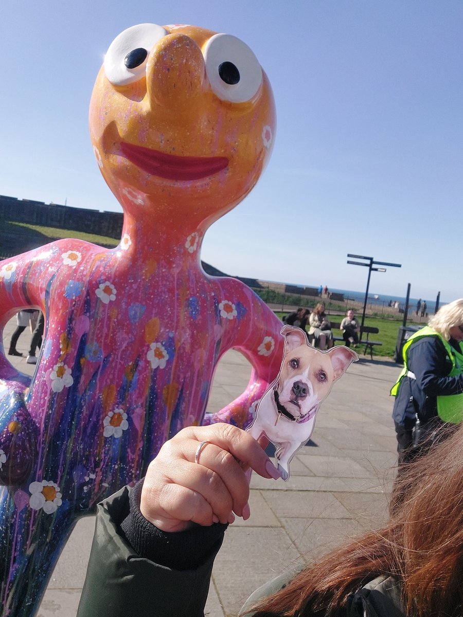 soojam's tweet photo. @TuckerDude1 Flat Tucker visits Tynemouth beach and meets the legend that is Morph! Wooohooo! 🥳🥳🥳 #FlatTuckerMeetsHisFriends #morph #morphtrail #beachsundays https://t.co/b3xTcVVVzu