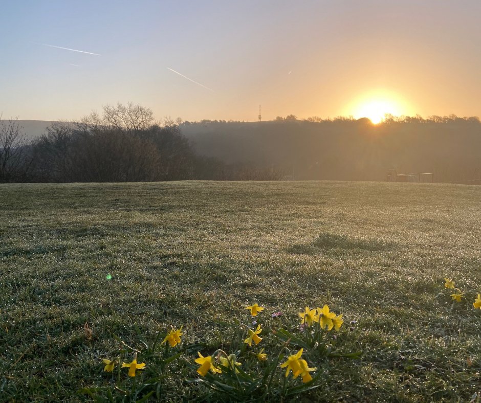 Just a reminder that brighter days are on the way ☀️

Who's ready to see more sun?

#LlamaAccounting #NoDramaWithLlama #JoinTheHerd