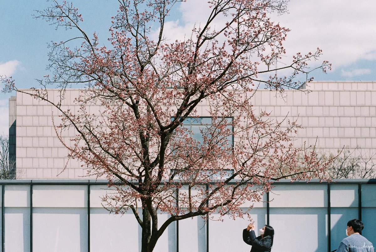 asa___dayo_'s tweet photo. expired film. https://t.co/q0UGqV4vdO