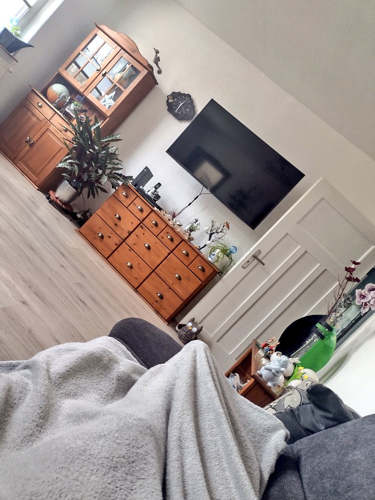 squirrelpics1's tweet image. Frauchen ist zur Arbeit und ich fauliere ein wenig #TeamSofa