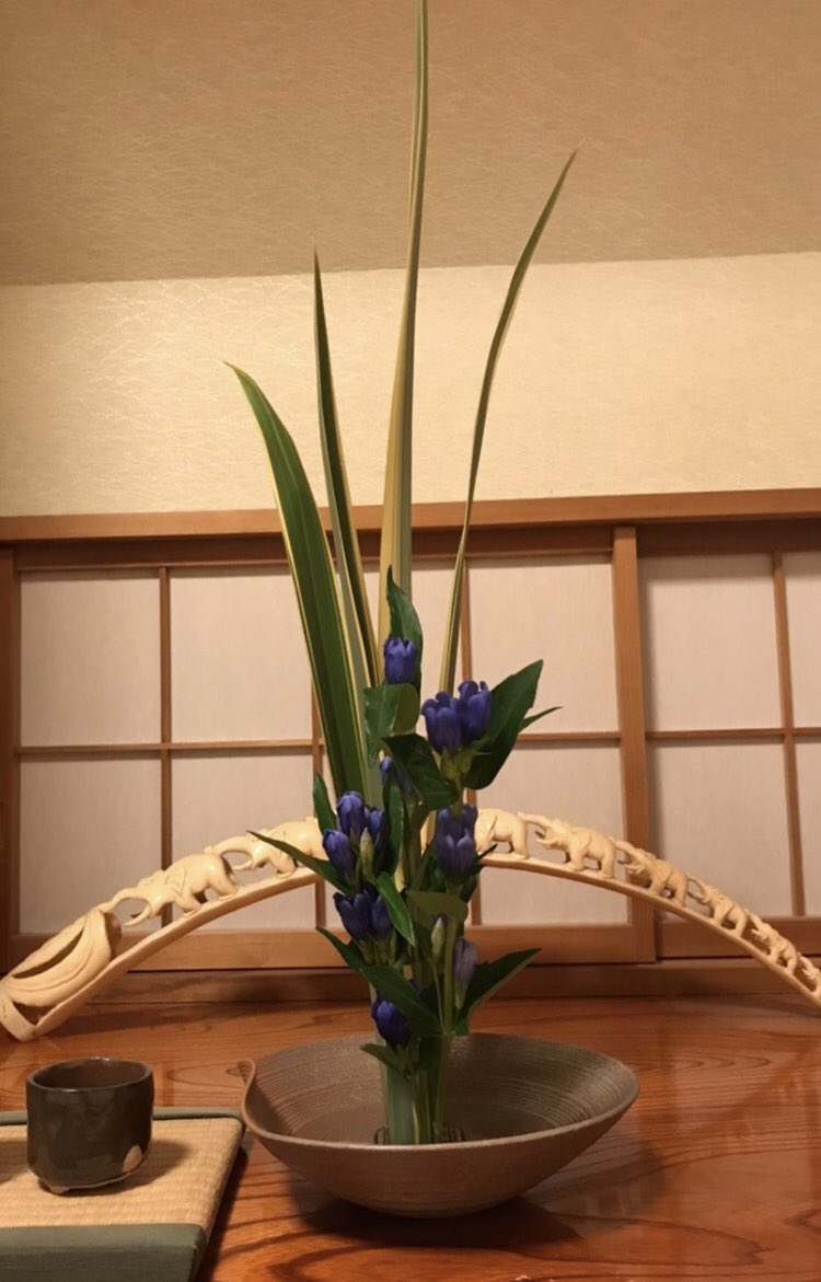 Seikeikado's tweet photo. 《お稽古後のお花はどうするの？🌸》
お稽古後のお花は自宅に持ち帰ることができます！
自宅でもお花が楽しめるって素敵ですね✨
#春から成蹊　#春からも成蹊 https://t.co/4vyKXvTiFg