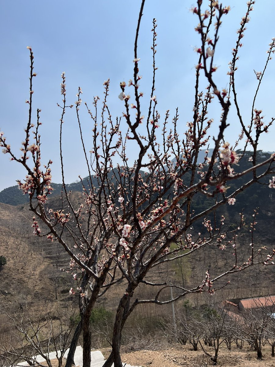 GlobenkoEvgeny's tweet photo. Spring time https://t.co/LyEZjfK12t