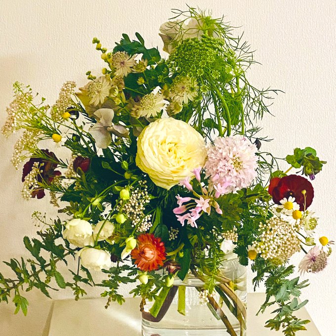 あと4枚…
花よ パワーをくれぃ 