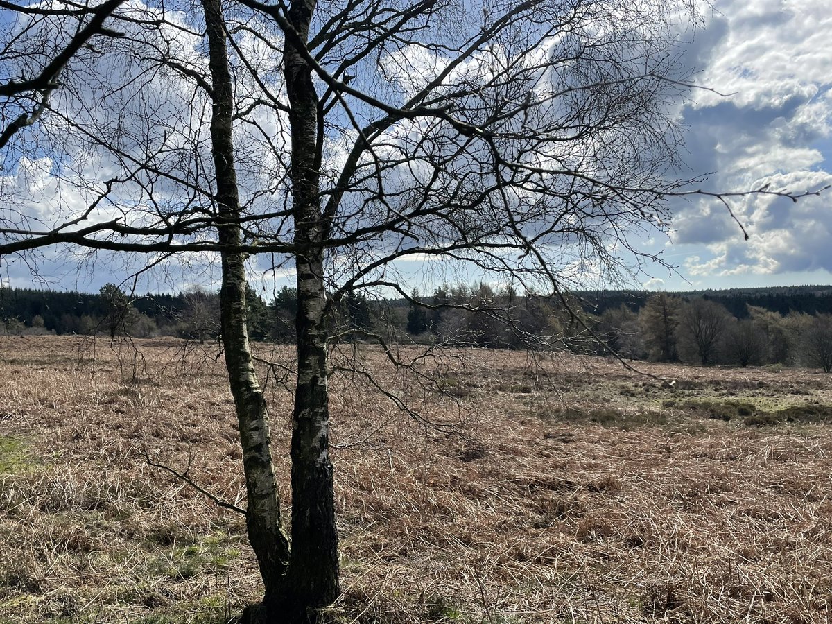 Ms_Orchard's tweet photo. Collecting data in the North Yorkshire Moors. @PlantbrkSchool @CranedaleCentre https://t.co/BBdAeiAdJm