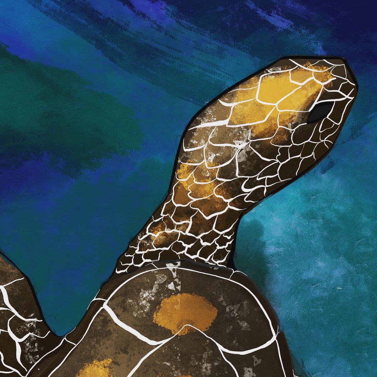 Olgaolis's tweet photo. Hadn’t drawn anything new in the last few weeks due to a change of house and a job right on top of that! Hopefully I will get back to my routine and my drawings again. Starting with this little lady, swimming peacefully in the serene blue waters. #turtleart #smallartist #turtle https://t.co/30hIdmDDFG