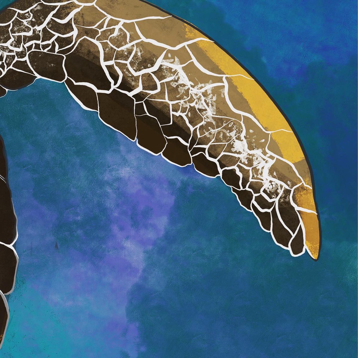 Olgaolis's tweet photo. Hadn’t drawn anything new in the last few weeks due to a change of house and a job right on top of that! Hopefully I will get back to my routine and my drawings again. Starting with this little lady, swimming peacefully in the serene blue waters. #turtleart #smallartist #turtle https://t.co/30hIdmDDFG