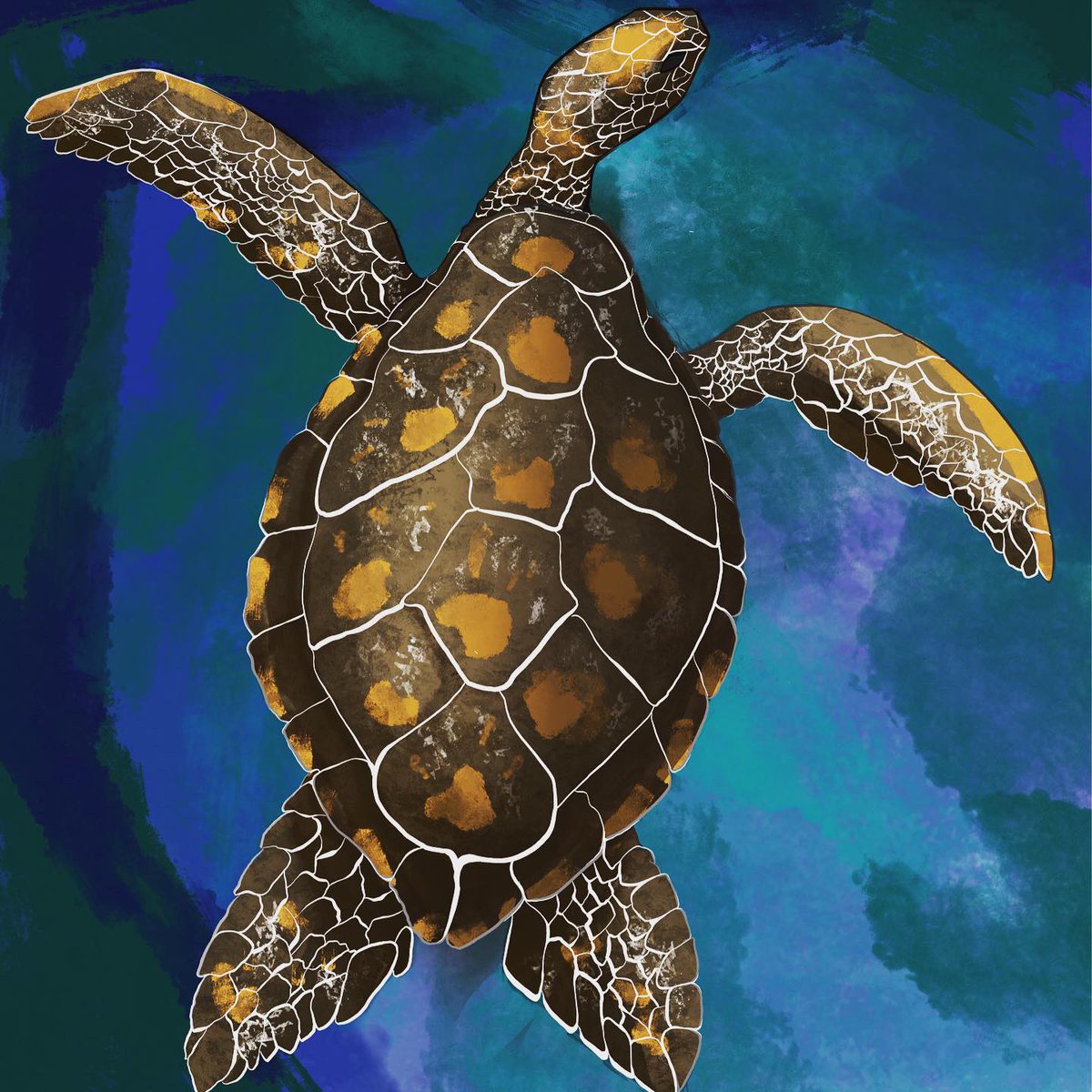 Olgaolis's tweet photo. Hadn’t drawn anything new in the last few weeks due to a change of house and a job right on top of that! Hopefully I will get back to my routine and my drawings again. Starting with this little lady, swimming peacefully in the serene blue waters. #turtleart #smallartist #turtle https://t.co/30hIdmDDFG