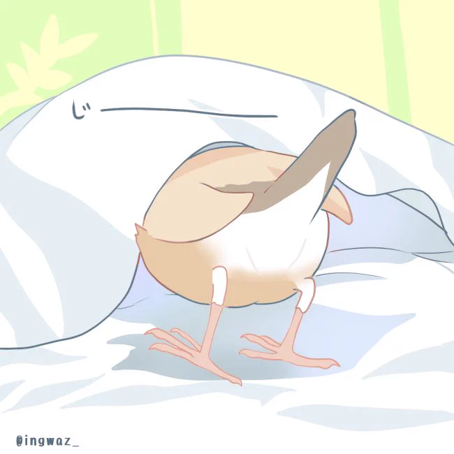 じー
#buncho #javasparrow #文鳥 
