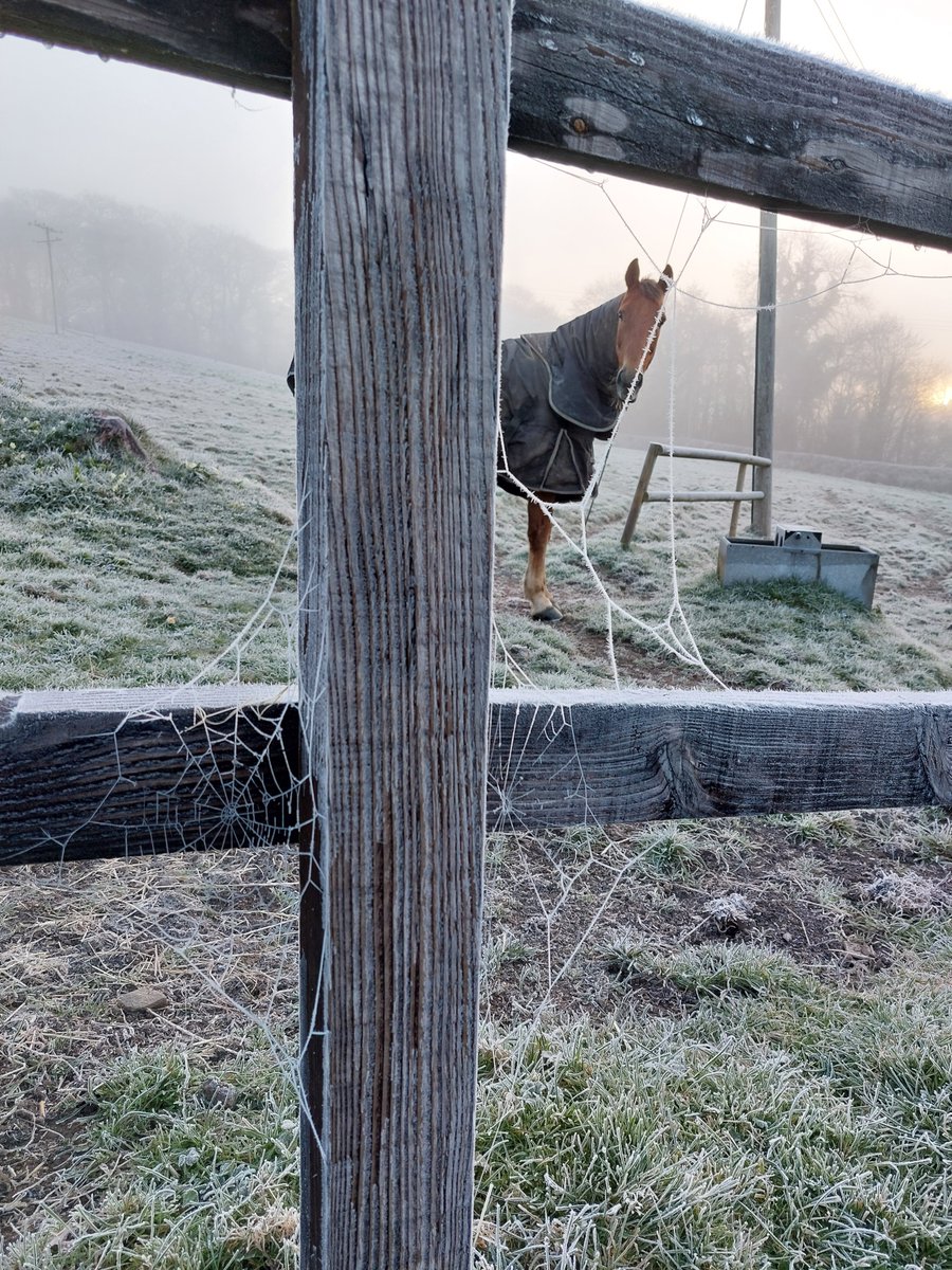 Bit chilly this morning !!