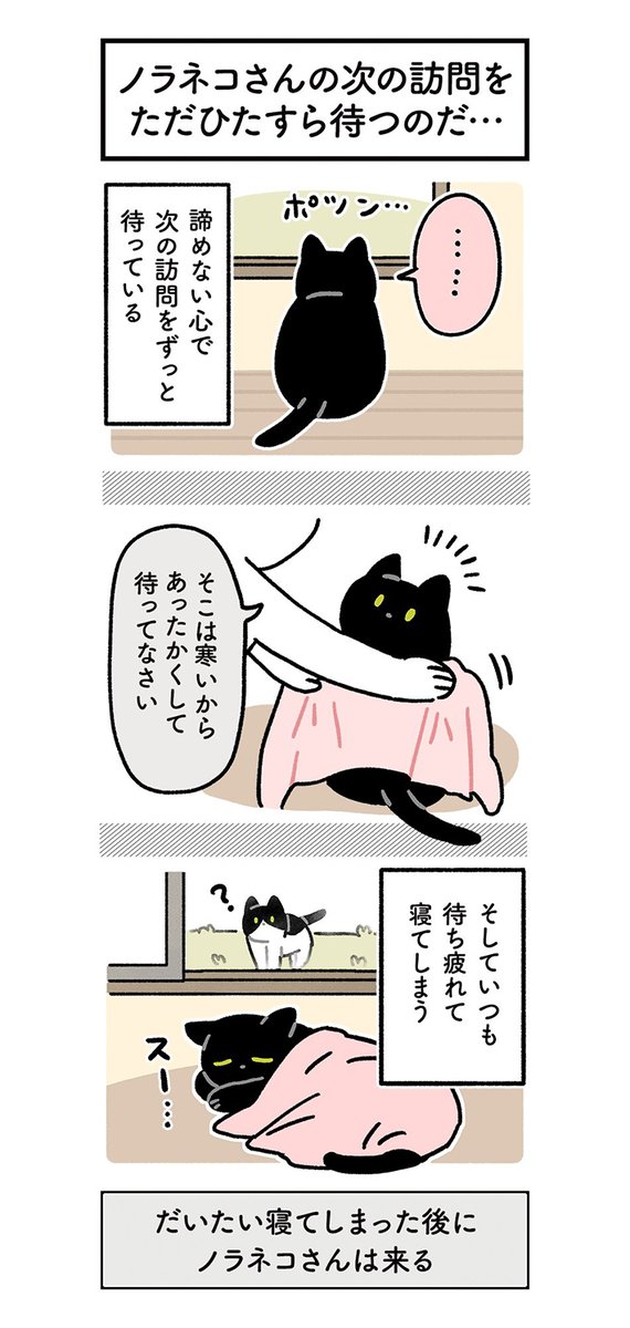 半年間、話しかけられなかった黒猫 その後の展開に「人間の子供みたい」「よかったね!」 https://t.co/D6QUIdc32A @grapeejpより