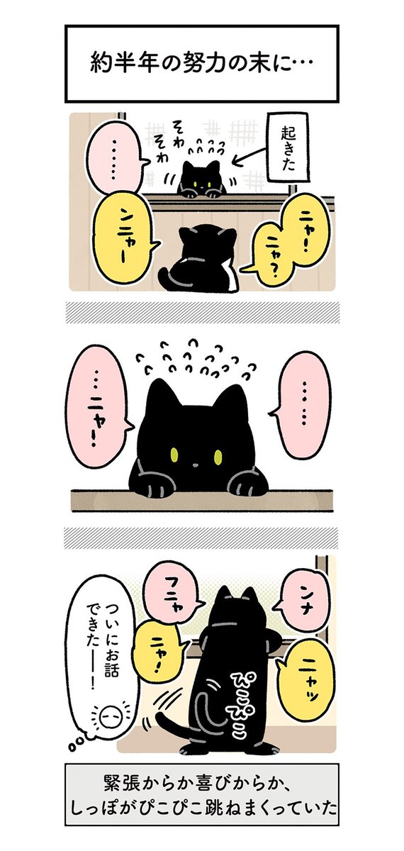 半年間、話しかけられなかった黒猫 その後の展開に「人間の子供みたい」「よかったね!」 https://t.co/D6QUIdc32A @grapeejpより