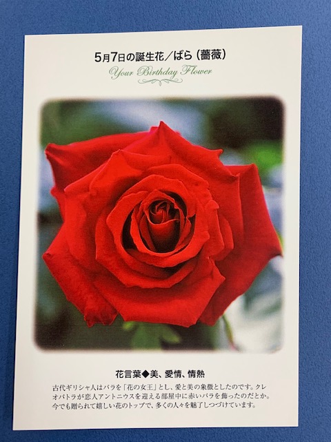 紀伊國屋書店 梅田本店 誕生花ポストカード 5 7の 誕生花 は ばら 古代ギリシャ人はバラを 花の女王 とし 愛と美の象徴としたのです クレオパトラが恋人アントニウスを迎える部屋中に赤いバラを飾ったのだとか 花言葉 は 美 愛情 情熱