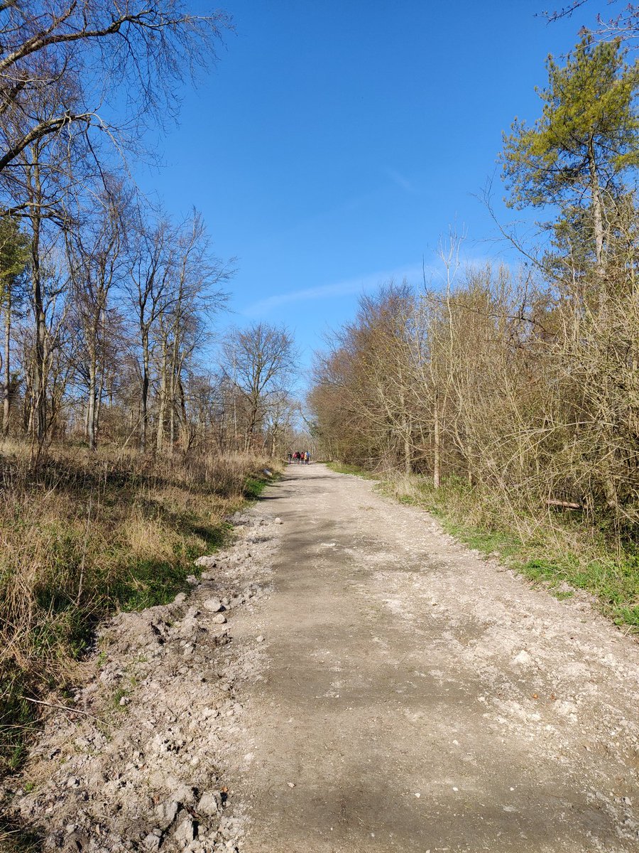 WorthingHighDoE's tweet photo. Great to get out in the sun for the first training walk. All doing well! https://t.co/si29iWOJ7T
