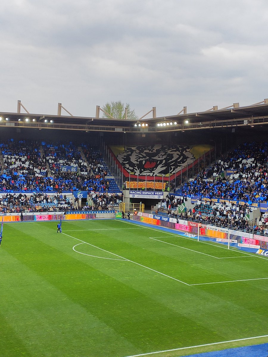 Les supporters du <a href="/RCLens/">Racing Club de Lens</a> bien présents pour le déplacement de leur équipe : avec un superbe tifo. 
Grosse ambiance à la Meinau
@fbleunord 
#RCSARCL