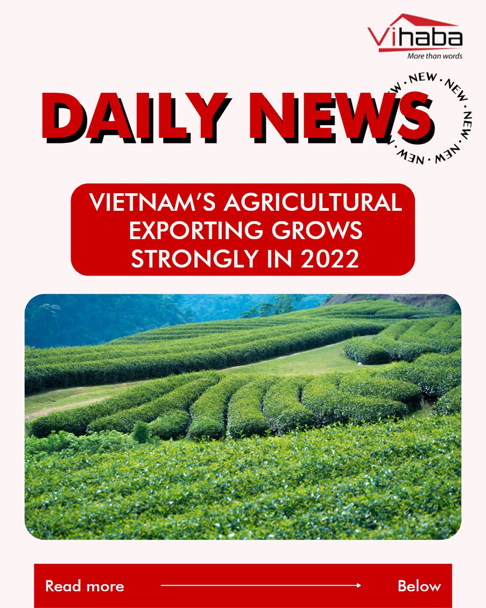 vihabavietnam's tweet photo. DAILY NEWS OF VIHAHA
Vietnam is one of America's important partners in tea exports. Besides, trade between Vietnam and India is seeing many good changes.
#news #dailynews #vihaba #spices #spicesexport #tea #teaexport #dailynewspaper #businessnews #business #vihabaexport #vietnam https://t.co/yo21rvtDLT
