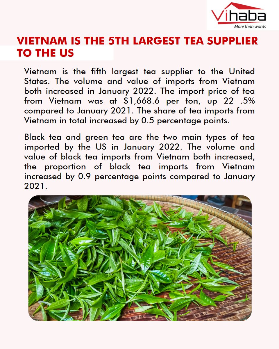 vihabavietnam's tweet photo. DAILY NEWS OF VIHAHA
Vietnam is one of America's important partners in tea exports. Besides, trade between Vietnam and India is seeing many good changes.
#news #dailynews #vihaba #spices #spicesexport #tea #teaexport #dailynewspaper #businessnews #business #vihabaexport #vietnam https://t.co/yo21rvtDLT