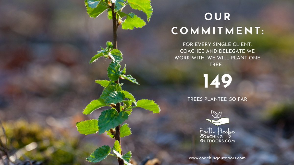coachingoutdoo's tweet photo. We have now planted 149 trees! #EarthPledge https://t.co/cmJQ2QXzdy