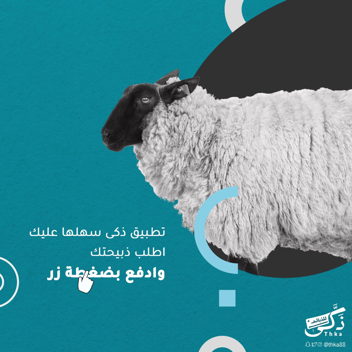 وش أسهل من إنك تحمل تطبيق ذكّى ..😍👌🏻
وتختار ذبيحتك وتدفع بضغطة زر؟ 🐑📲

thkapp.com

#الرياض | #صياما_وقياما2