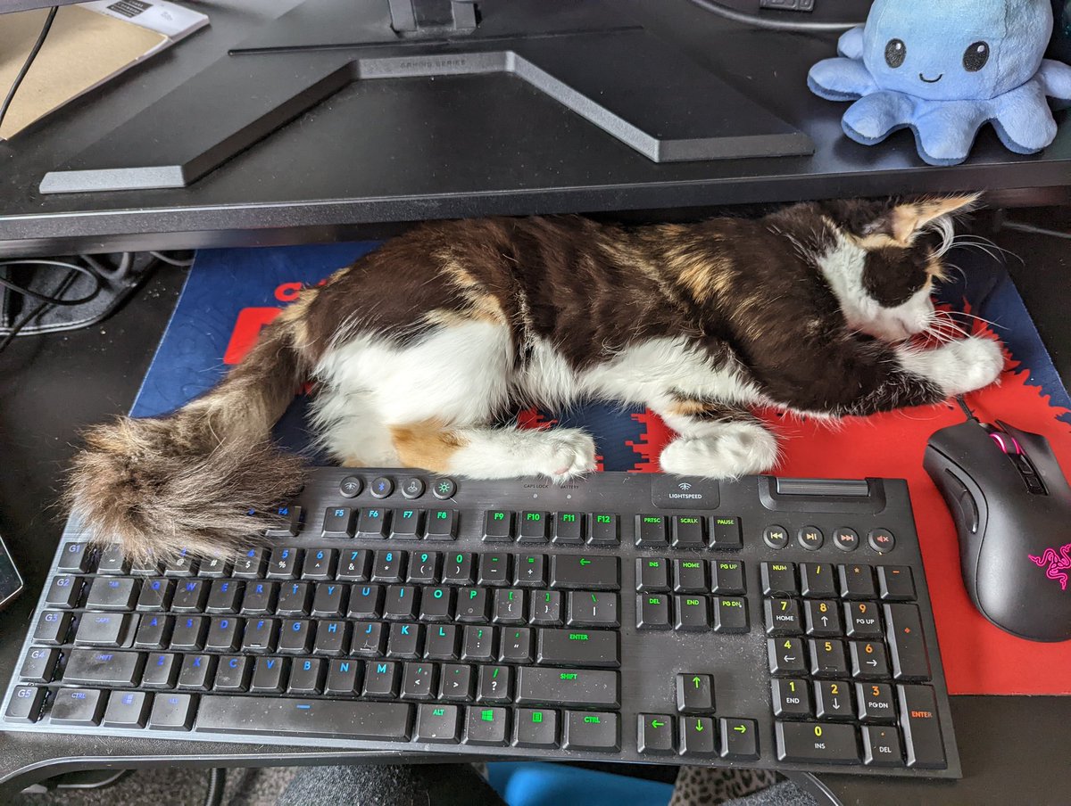 Kikirollsdice's tweet photo. This is what it's like behind my #dnd DM screen. Things are tense... https://t.co/Km99c7ifNs