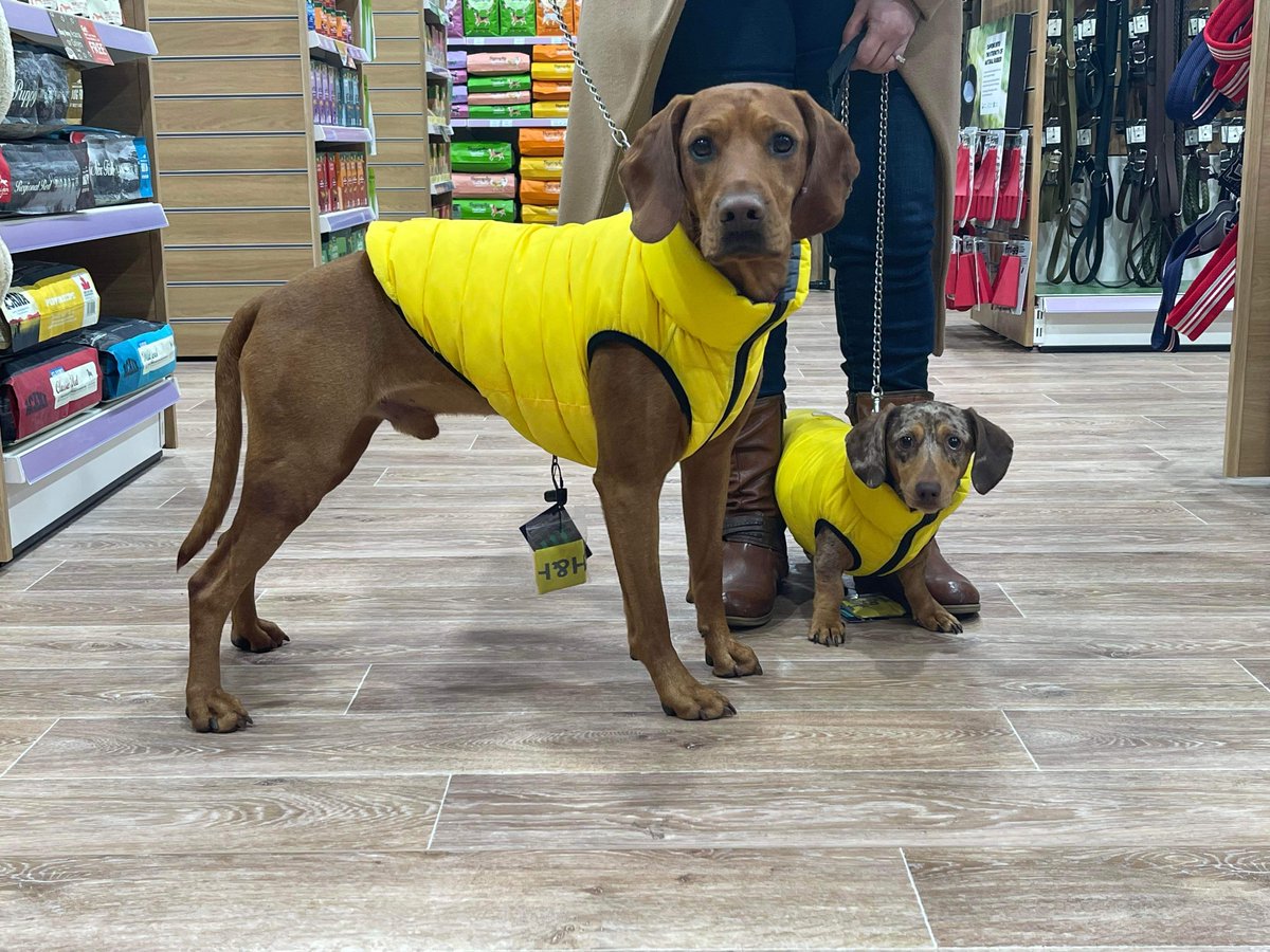 🐶 Style for any weather #justforpets #leamingtonspa

#pets #dogclothes #dogfashion #style #cute #britishweather #summer #rain #snow #shine #pupstagram #dogstars