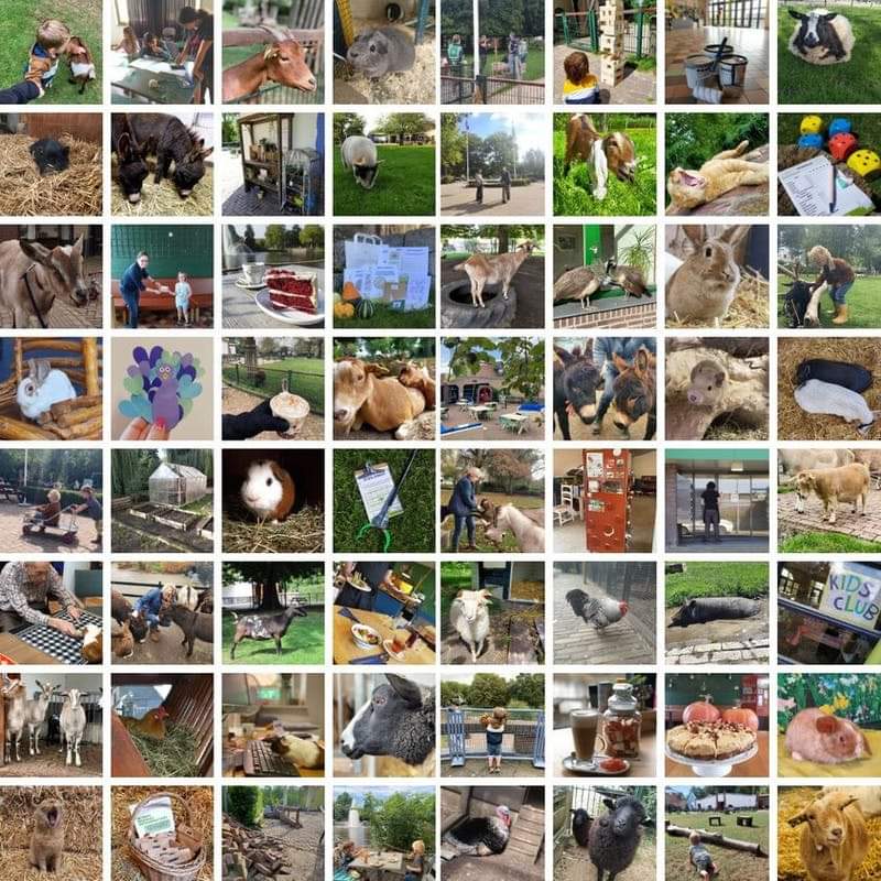 Voor­lees­Hel­den in het Na­tuur­cen­trum. 

Iedere eerste woensdag van de maand.
14.00 - 15.00 uur

Maandelijks vanuit het Natuurcentrum, waar het gaat over thema's als de natuur, het milieu en bv  afval.
Kom je ook?