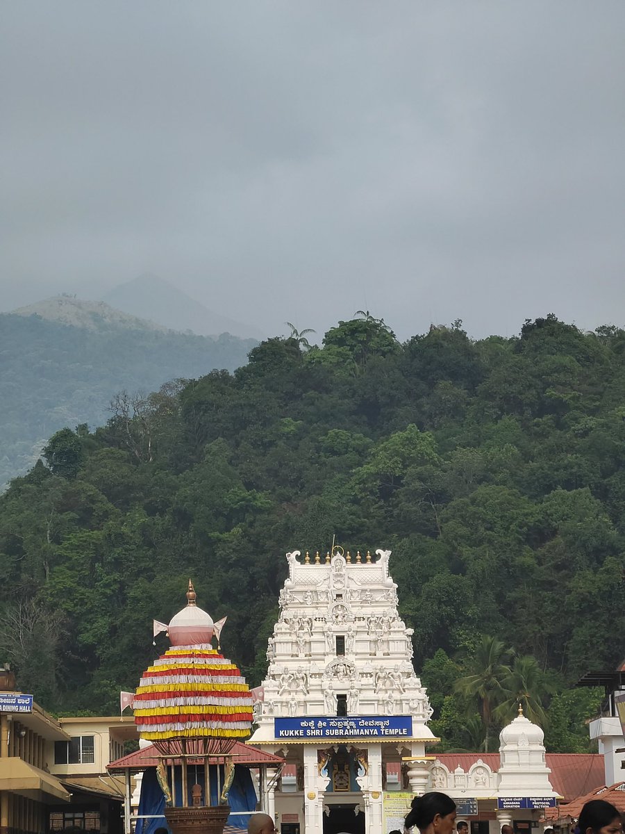 StarAshaBhat's tweet photo. Eternal Bliss 🙏🙏
#kukkesubramanya #kumaradhara #karnatakatourism #sundayvibes https://t.co/sqdiyQ2Wnz
