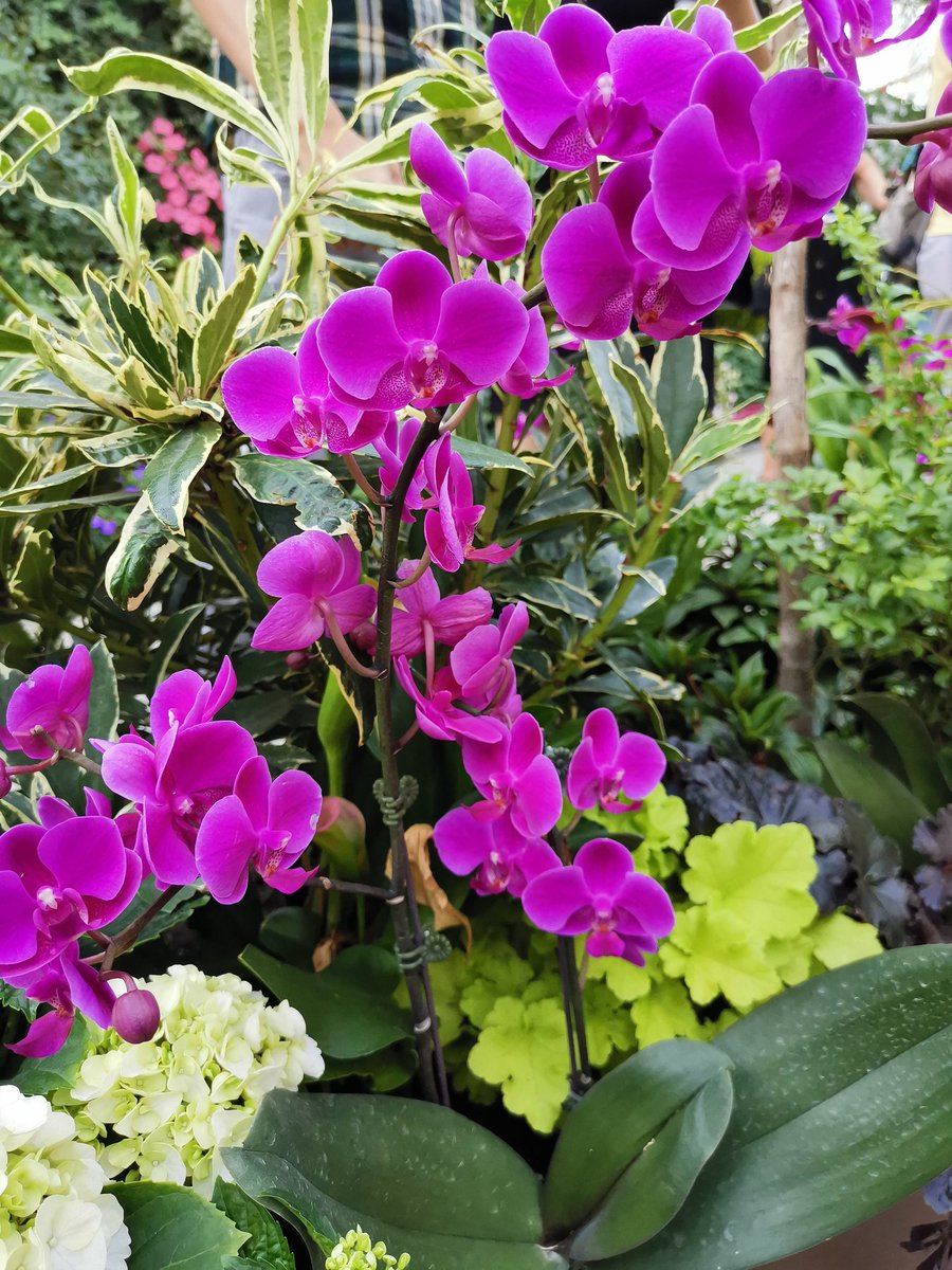 Kiruthika Ragupathi tweet media