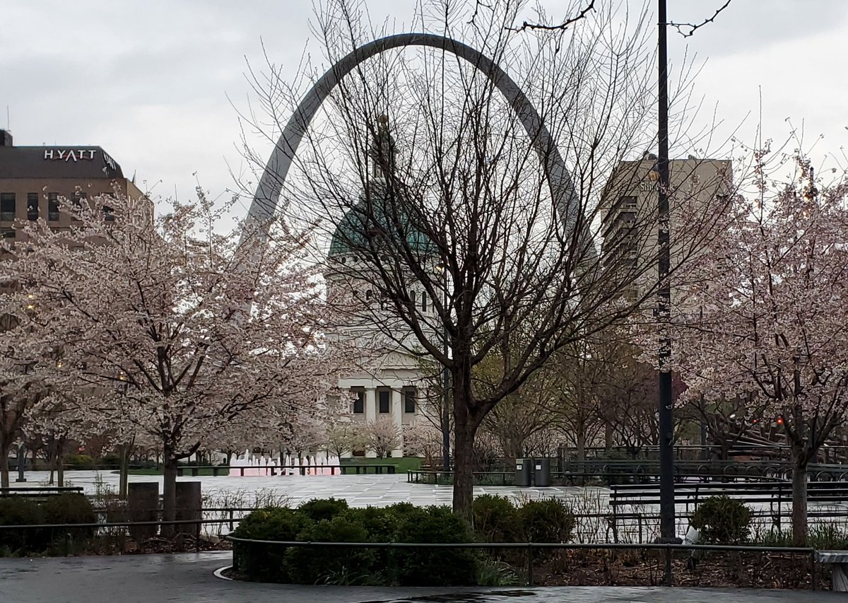 ExecSrcd's tweet photo. Goodbye St. Louis, see you again in September for the #HolisticDevScience conference. It was lovely to meet all the brilliant #learnplay22 attendees. Feeling energized!! https://t.co/gdhB393Inl