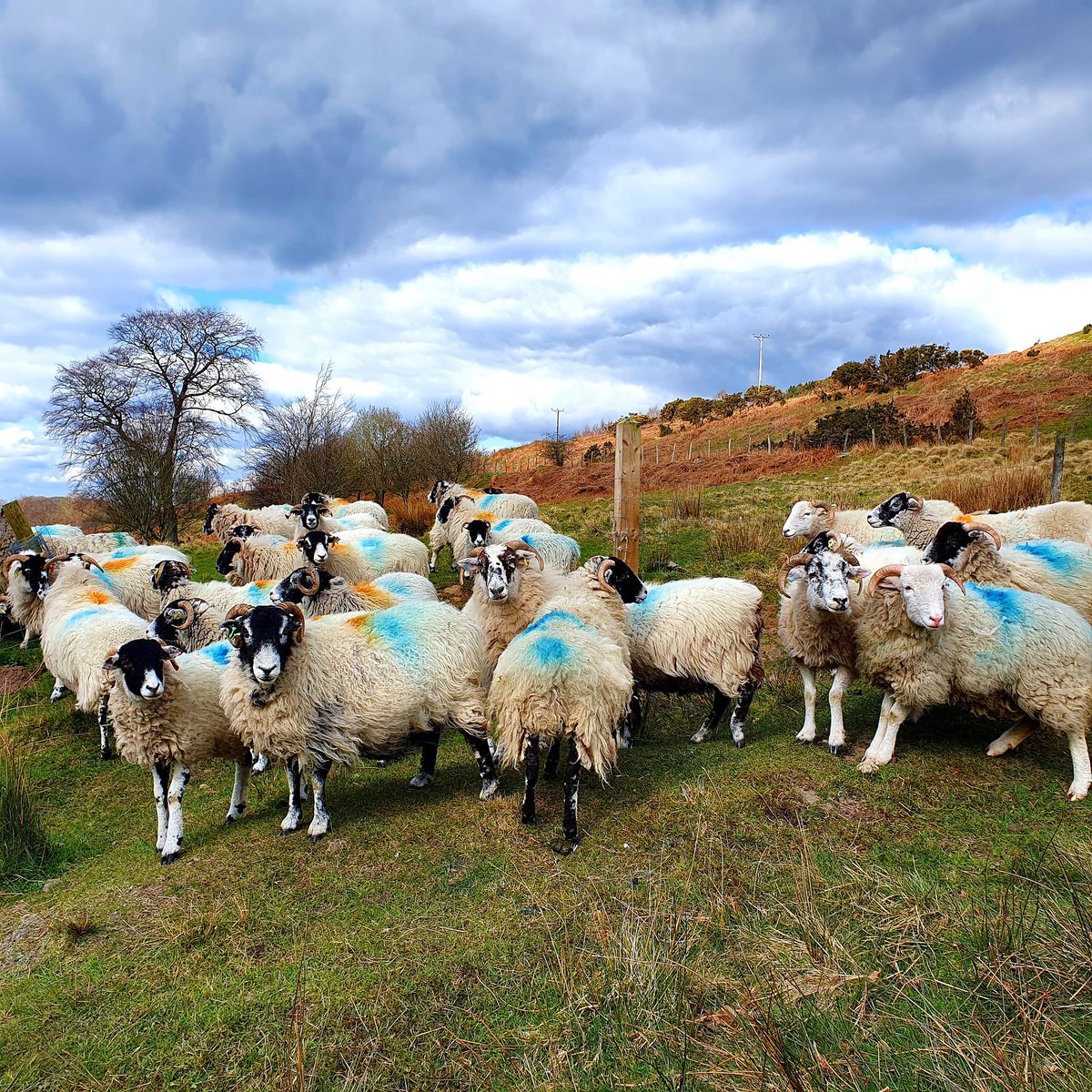 chesteroutdoor's tweet photo. Fancy meeting some new friends....we welcome anyone 😉 https://t.co/IvhDghvHTb