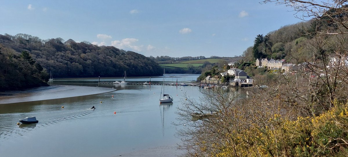 BevHunt72's tweet photo. So have arrived at #Malpas #Truro on my #Walk13 of 55 for #OneMedicine @HumanimalTrust ..sitting at Sunny Corner now for a spot of lunch..
https://t.co/9UUUGXoP5Q https://t.co/bEDiGFIcSB