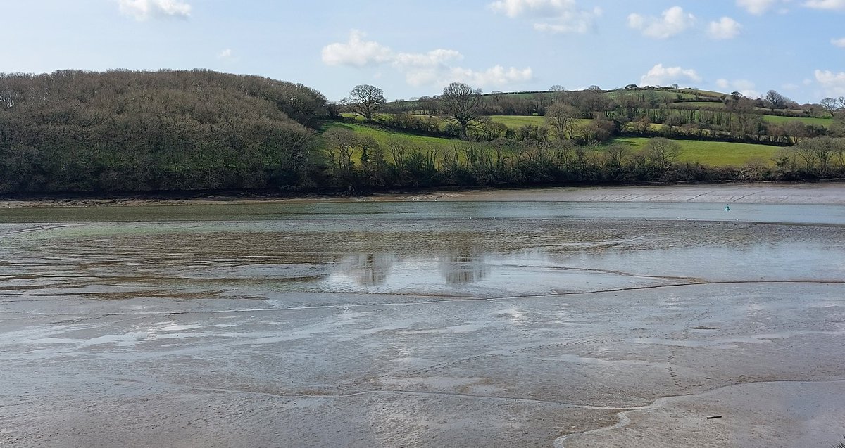BevHunt72's tweet photo. So have arrived at #Malpas #Truro on my #Walk13 of 55 for #OneMedicine @HumanimalTrust ..sitting at Sunny Corner now for a spot of lunch..
https://t.co/9UUUGXoP5Q https://t.co/bEDiGFIcSB