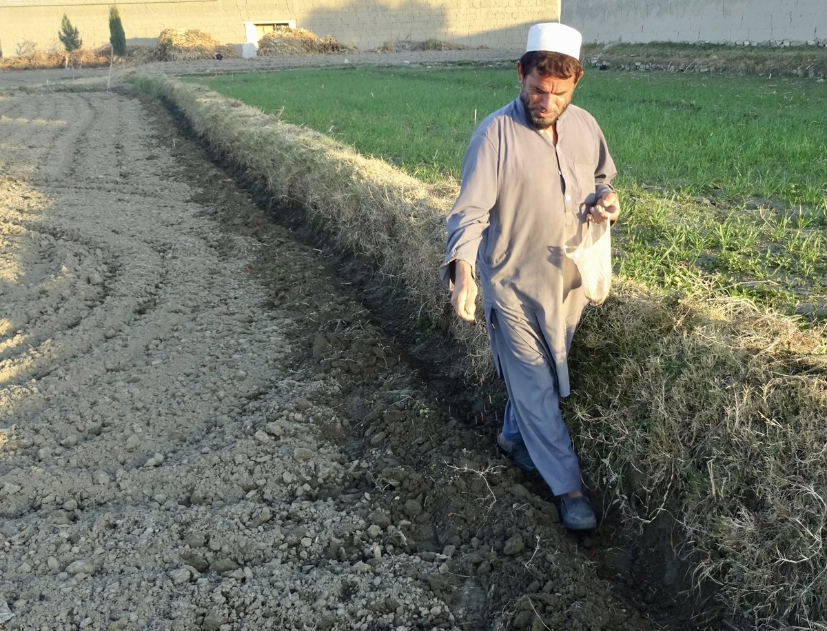 4. It is only the point in the agricultural season in which the ban has been announced that is different. Last time the ban was announced 5 months prior to planting, this time 5 months after! It seems very unlikely this will be enforced this season given harvest has already begun