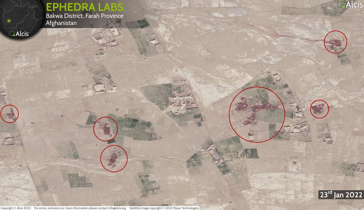 7. As such, this ban is more akin to that on the ephedra crop that the Taliban announced in December 2021: a definite case of closing the stable door after the horse had bolted given that the harvest was already in. The result was the pump priming of the meth industry.