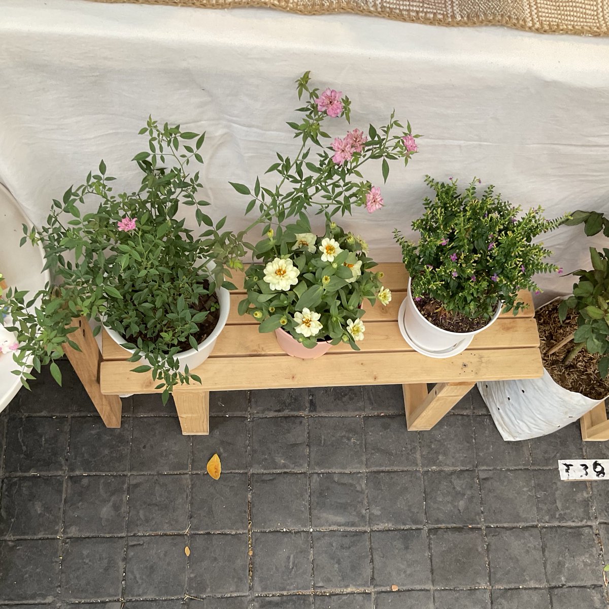 hibyemeh's tweet photo. flea market 🍄👢🌼 https://t.co/FFoiuVTIHo