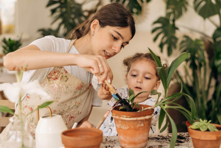 ReadWires's tweet photo. Top 13 Secret Tips for Home Gardening 

During this time of year, you can start growing flowers, veggies, herbs, and more! The growing season has here, and it’s already in full force.

https://t.co/UL9x0J57N0 https://t.co/J3vpCNPcGp