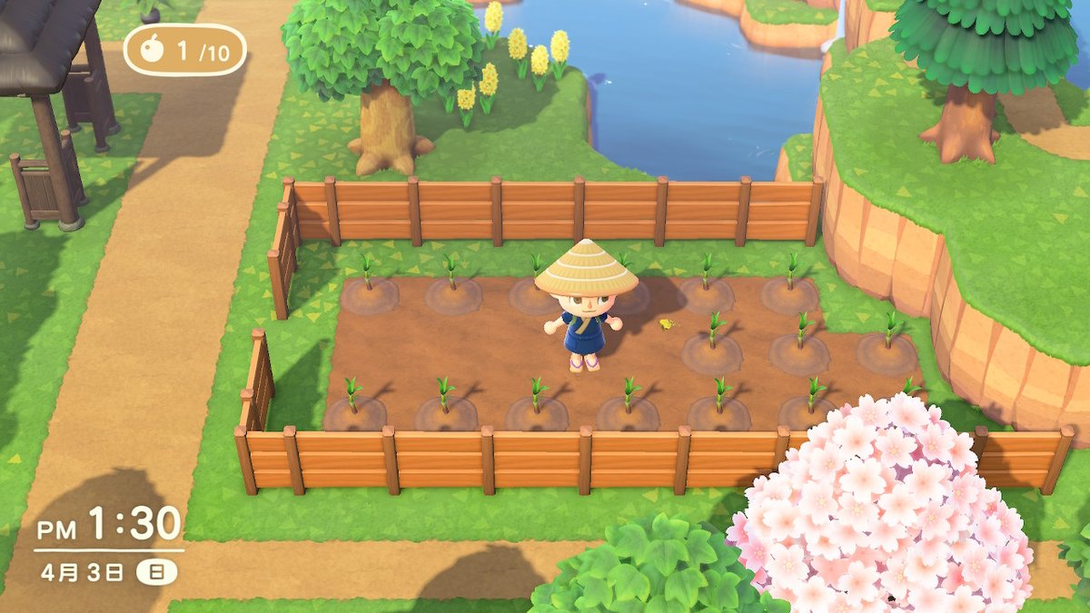 PvtNoob's tweet photo. #どうぶつの森 #AnimalCrossing #ACNH #NintendoSwitch https://t.co/Nr7ODxtCx5