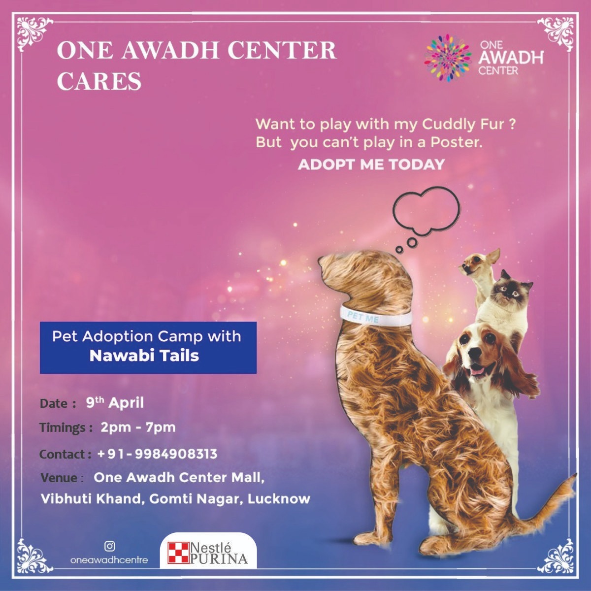 OneAwadhCenter's tweet photo. Everyone deserves love, care and a home.
#OneAwadhCenter is organising a #Pet_Adoption_Camp, in association with @NawabiTails on the 9th of April. Do come and take your #furry happiness with you.
#petadoption #petadoptioncamp #petasoptionlucknow #AdoptDontShop #adoptpet https://t.co/mKxblXFLQq