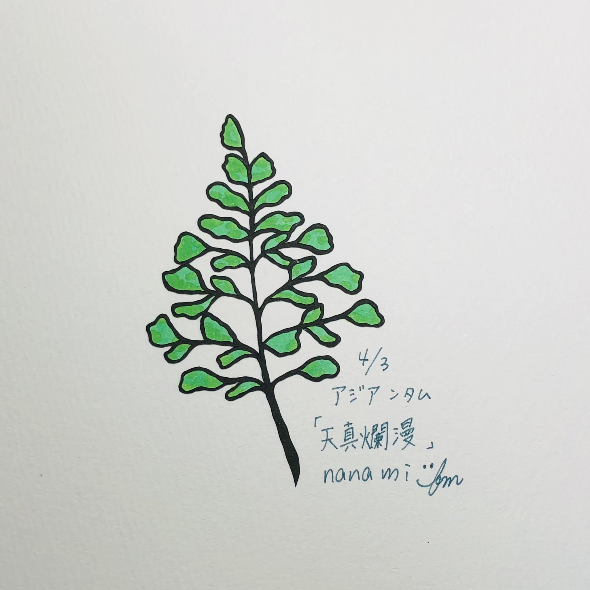 奈波 切り絵 今日の誕生花 Day354 4 3 アジアンタム 花言葉 天真爛漫 残り12日 誕生花 花言葉 1日1絵 切り絵 切り絵bot作品 T Co Kcsghkgo9j Twitter