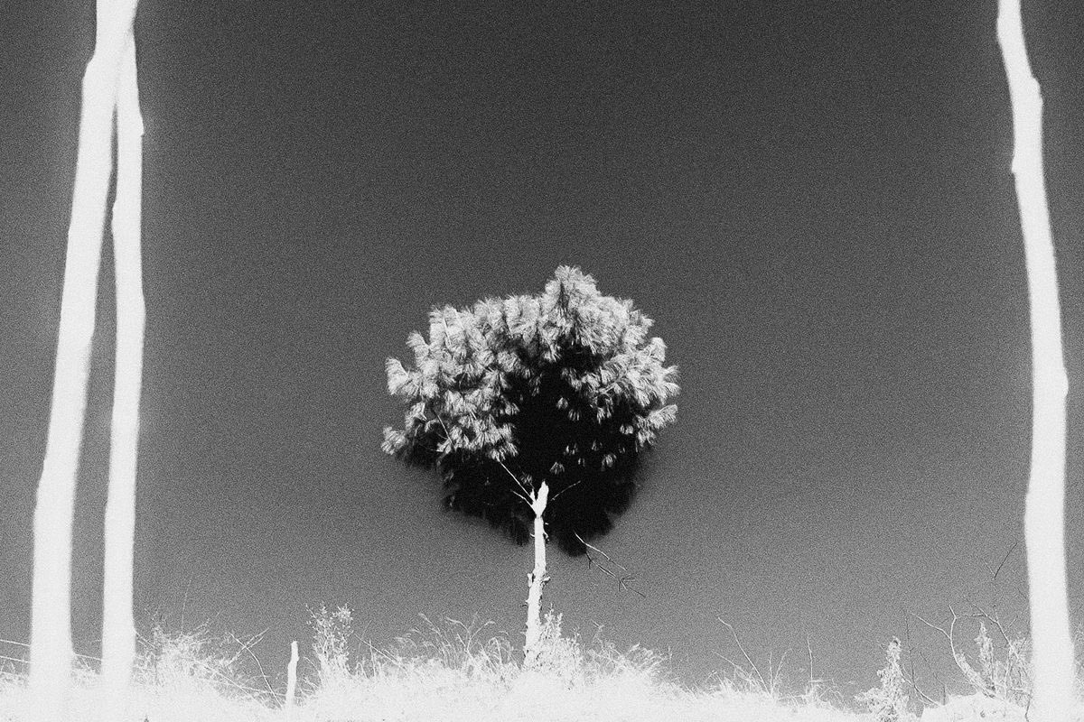 canvasoul_'s tweet photo. dream sequence iv https://t.co/E9tnh362Vv