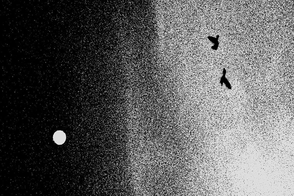 dream sequence iv