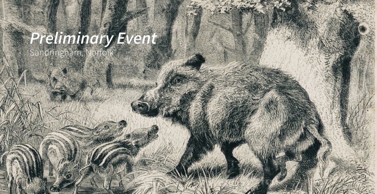 KMNxMissGeraint's tweet photo. ⠀ ⠀ 
⠀ ⠀ ⠀
⠀ ⠀ ⠀ ⠀ #WildHuntxKMN 
⠀ ⠀ ⠀ ⠀ • preliminary event | sandringham, norfolk
⠀ ⠀ ⠀ ⠀ round 2 — 28 points / a wild boar 
⠀ ⠀
⠀ https://t.co/CYE3zU0RoA